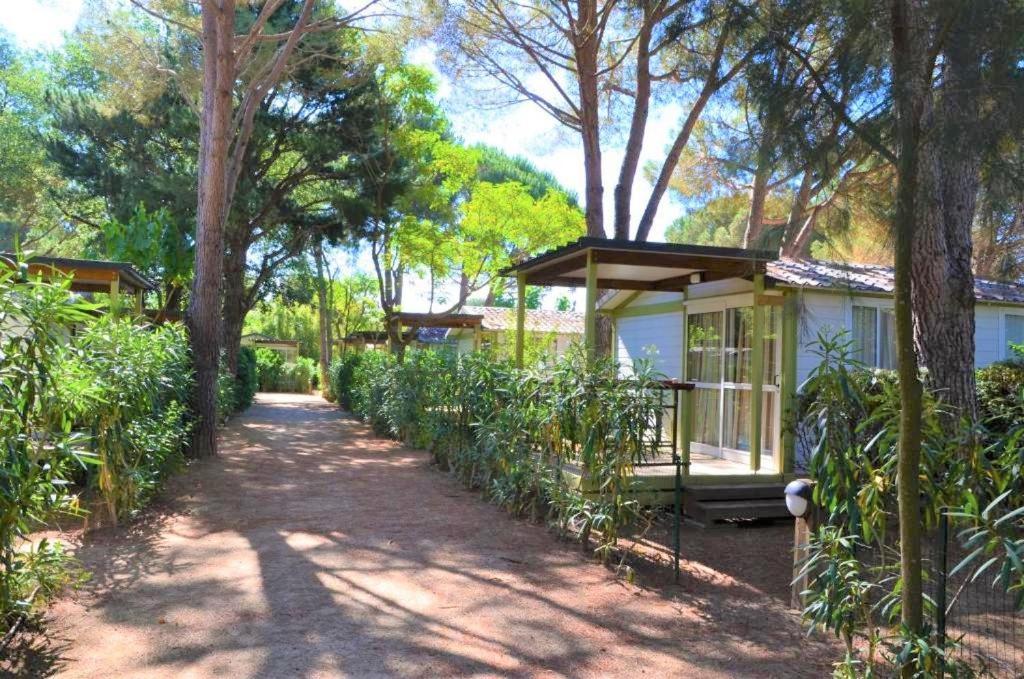 Parque de Campismo La Pinede Enchantee Argelès-sur-Mer